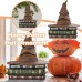 Harrys Potters Sorting Hat Hallmarks Keepsake christmas  Magic hat