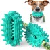 New dog toy with rope cactus ball molar stick toothbrush dog chew pet supplies