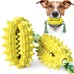 New dog toy with rope cactus ball molar stick toothbrush dog chew pet supplies
