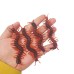New Exotic Toys Simulation Animal Centipede Tricky Spoof Centipede April Fool's Props Halloween Props