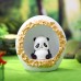 Creative Gifts New Fat Panda Star Light Night Light Resin Crafts Student Gift Ornament