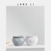 Ceramic Succulent Flower Pots Office Decorations Home Succulent Flower Pots Flower Pots Ceramic Green Plants Desktop Potted Plants