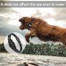 For Apple Air Tag Protective Collar Positioning Tracker Portable Anti-Lost Dog Collar Protective Cover