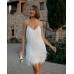 Fashion Fringe Sequin Feather Panel Dress