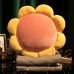 Flower Pillow Quilt Folding Office Air Conditioner Quilt Two-in-One Car Pillow