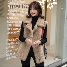 Spring And Autumn New Lamb Wool Vest Female Korean Version Loose Student Thickened Fur One Plush Vest Jacket