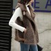 Spring And Autumn New Lamb Wool Vest Female Korean Version Loose Student Thickened Fur One Plush Vest Jacket