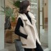 Spring And Autumn New Lamb Wool Vest Female Korean Version Loose Student Thickened Fur One Plush Vest Jacket