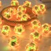 Led Rose String Lights Teenage Heart Decorative String Lights Laser Dream Dazzling Ball Holiday Lights