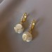 Light And Luxurious Opal Earrings Fashionable Temperament Niche Design Exquisite Earrings Senior Sense Earrings Female Autumn And Winter