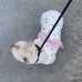 Pet Clothes Spring Fall And Winter Cat Clothes Ins Faro Clothes Dog Clothes Beautiful Clothes