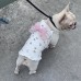 Pet Clothes Spring Fall And Winter Cat Clothes Ins Faro Clothes Dog Clothes Beautiful Clothes