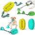 Pet Supplies New Cactus Ball Teething Stick Dog Toys Dog Suction Cup Venting Bite Resistant Toys