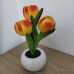 LED Tulip Flower Pot Light Pink Tulip Simulation Flower Pot Ceramic Led Ambient Night Light Decorative Ornaments