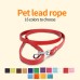 Pet Leash Dog PU Leather Chain Anti-Loss New Out Cat Leash