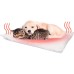 Dog Bed Pet Kennel Mat Self Heating Cat and Dog Mat Blanket Microwave Oven Heating Warm Lamb Plush Dog Kennel