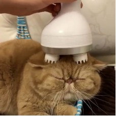 Pet Intelligent Cats Automatic Rotate Waterproof Electric Dragon Claw Han Charging Cat Massager 3D Head Massager Omnidirectional