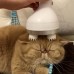 Pet Intelligent Cats Automatic Rotate Waterproof Electric Dragon Claw Han Charging Cat Massager 3D Head Massager Omnidirectional