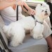 Explosion Proof Outdoor Dog Traction Rope Medium Size Dog Walking Rope Elastic Reflective Car Dual Purpose Traction Rope Explosion Proof Outdoor Dog Traction Rope Medium Size Dog Walking Rope Elastic Reflective Car Dual Purpose Traction Rope