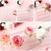 Flower Acrylic Vase Clear Rectangular Acrylic Vase With Lid Long Decorative Floral Vases 