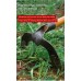 Pruning Shears Garden Tools For Garden and Vegetable Patch Bonsai Professional Joinery Stainless Steel Fruit Picking Sharp