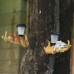 Outdoor solar night light garden squirrel sloth pendant