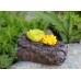 Simulated Stone Key Box Storage Box Hidden Storage Box Outdoor Garden Stone Creative Decoration