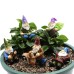Resin Dwarf Set Dwarf Potting Plugin