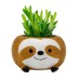Meaty Flower Pot Set Small Tree Lazy Decoration