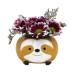Meaty Flower Pot Set Small Tree Lazy Decoration
