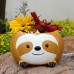 Meaty Flower Pot Set Small Tree Lazy Decoration