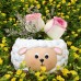Lamb succulent plant tabletop decoration small flower pot