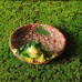 Frog Home Storage Tray Decoration Resin