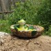 Frog Home Storage Tray Decoration Resin