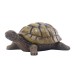 Decorative resin for garden turtle ornaments