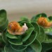 Micro landscape succulent plant snail resin small ornaments