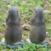 Miniature landscape resin for potted landscape decoration of groundhog small ornaments