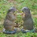 Miniature landscape resin for potted landscape decoration of groundhog small ornaments