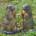 Miniature landscape resin for potted landscape decoration of groundhog small ornaments