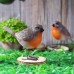 Outdoor simulation bird resin ornaments
