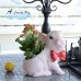 Cute Piggy Flower Pot Resin Flower Pot Decoration