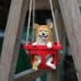 Puppy Swinging on a Swing Garden Courtyard Decoration Pendant