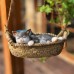 Outdoor cute kitten swing pendant