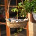 Outdoor cute kitten swing pendant