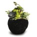 Minimalist volcanic stone potted plant ornaments