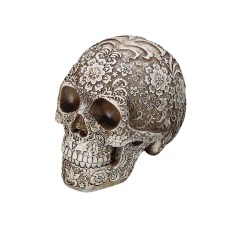 Medical model of resin skull carved human skull