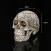 Medical model of resin skull carved human skull