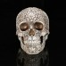 Medical model of resin skull carved human skull