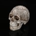 Medical model of resin skull carved human skull
