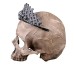 Crown Skeleton Resin Home Decoration